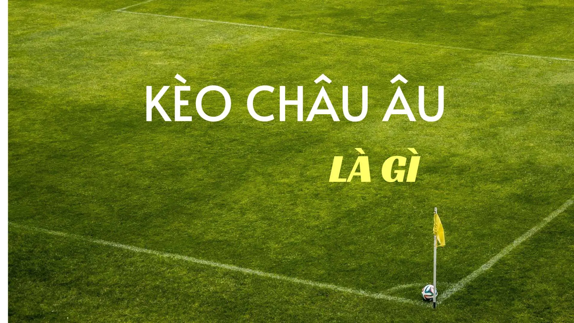 Chiến Thuật Kèo Châu Âu Giúp Tối Ưu Hóa Dòng Tiền