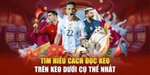 Bí Quyết Chọn Kèo Trên Kèo Dưới Chuẩn Xác Nhất Cho Cược Thủ