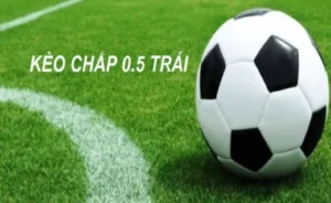 Hướng Dẫn Đọc Kèo Chấp 0.5 Chi Tiết Và Dễ Hiểu Nhất