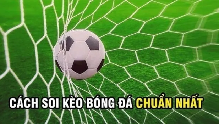 Tuyệt Chiêu Đánh Kèo Rung Trong Bóng Đá Đỉnh Cao Nhất